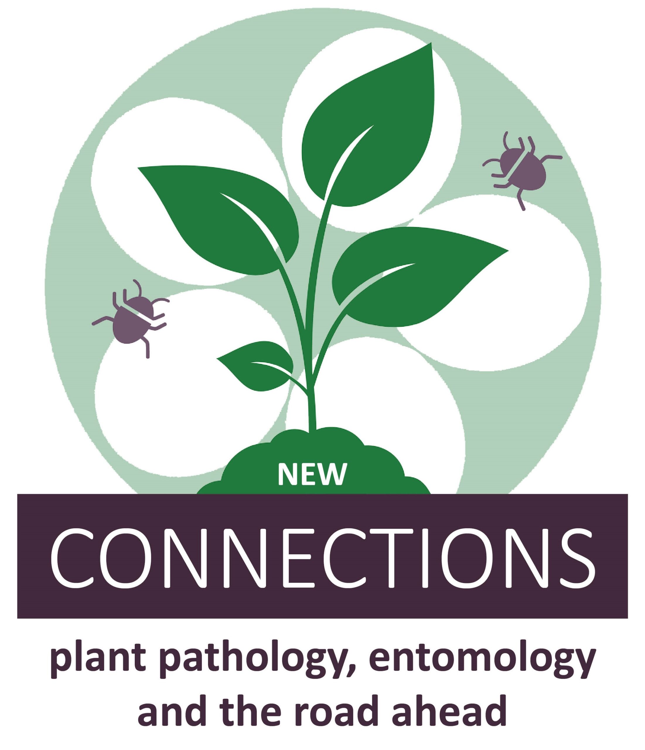 New CONNECTIONS plant pathology, entomology and the road ahead Connected